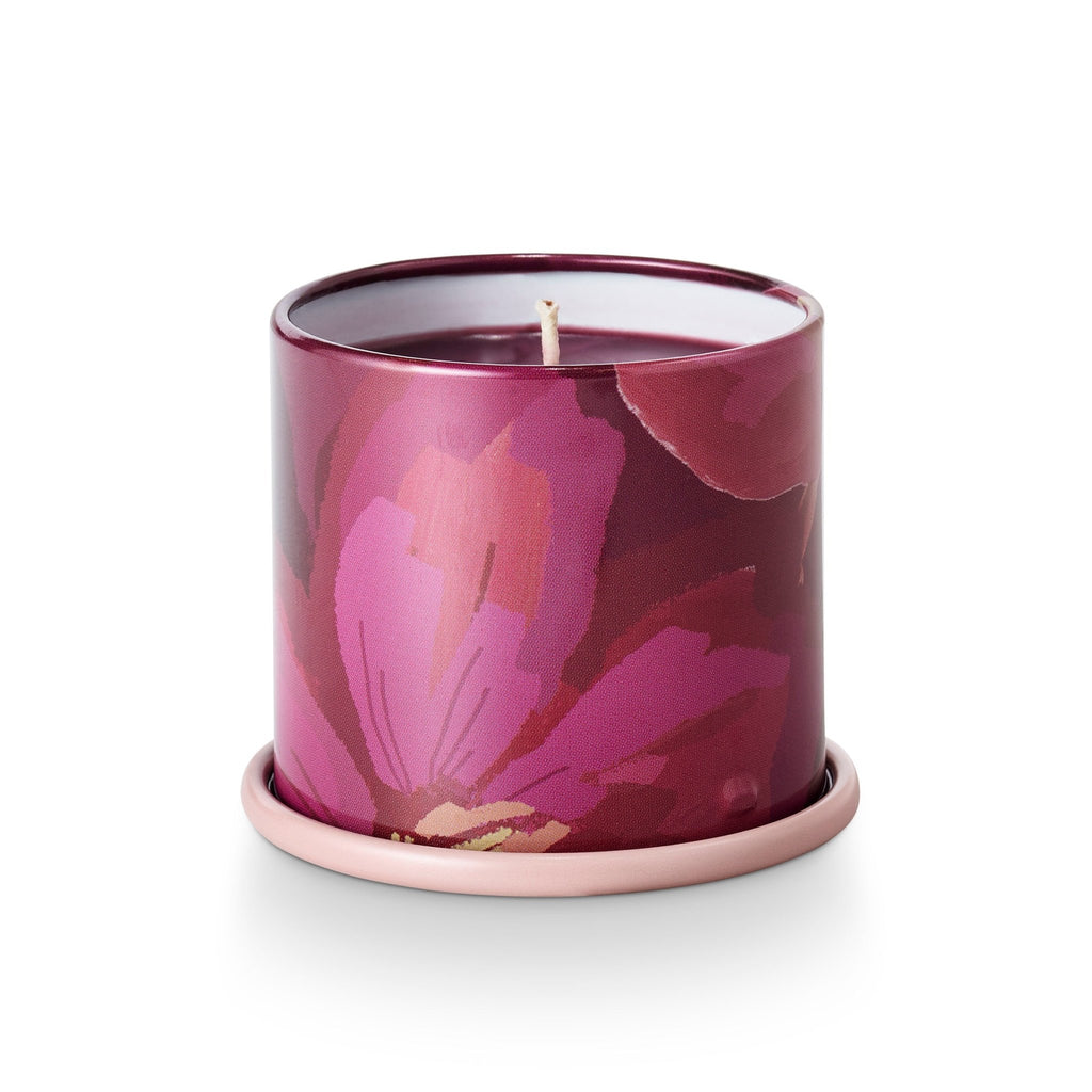 Oleander Oak Demi Vanity Tin Candle - Illume Candles - 45364007000