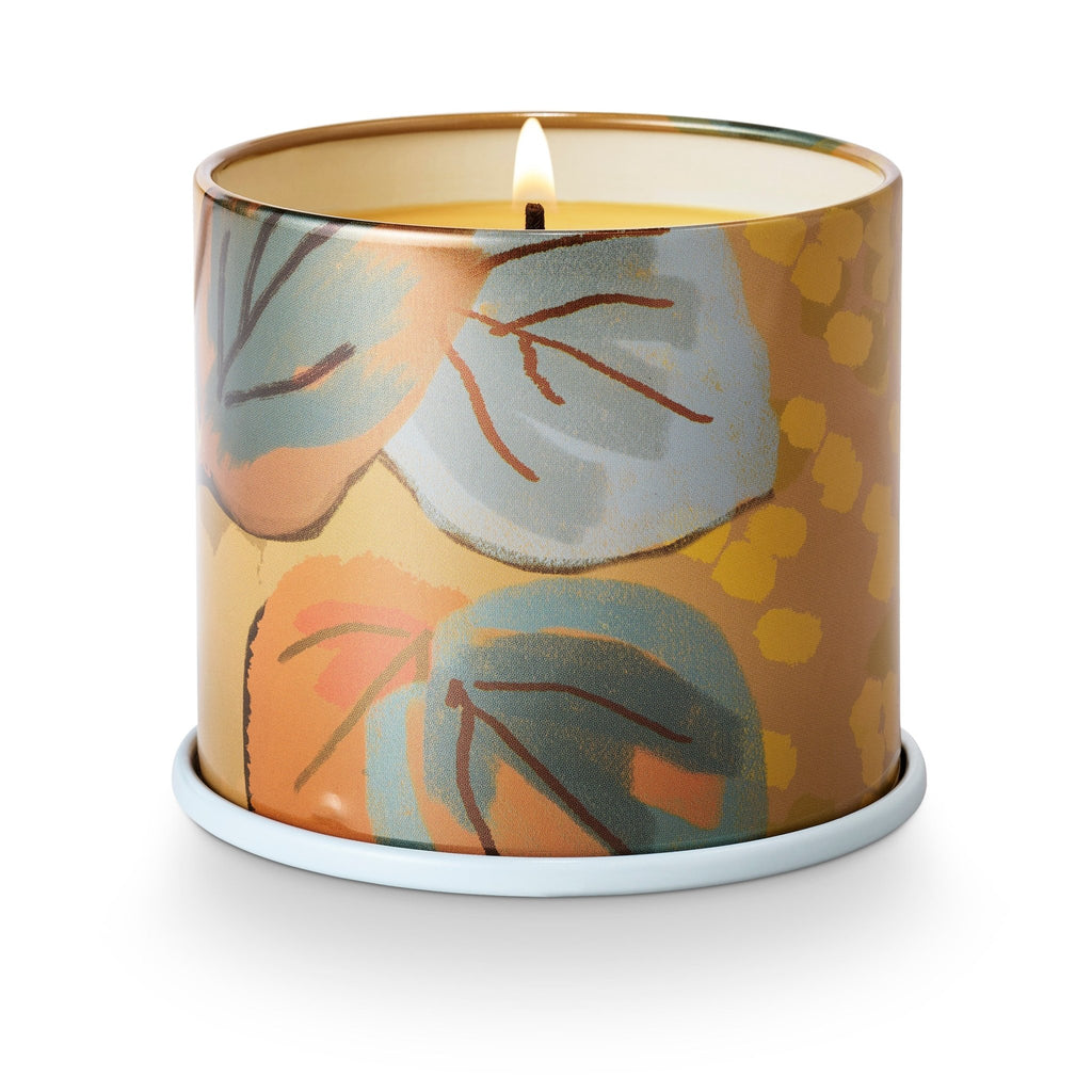 Santal Birch Vanity Tin Candle - Illume Candles - 46263009000