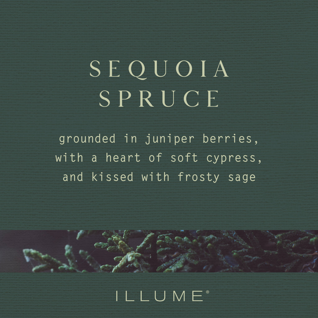 Sequoia Spruce Pine Glass Candle - Illume Candles - 46288060000