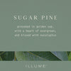 Sugar Pine Pine Glass Candle - Illume Candles - 46288059000