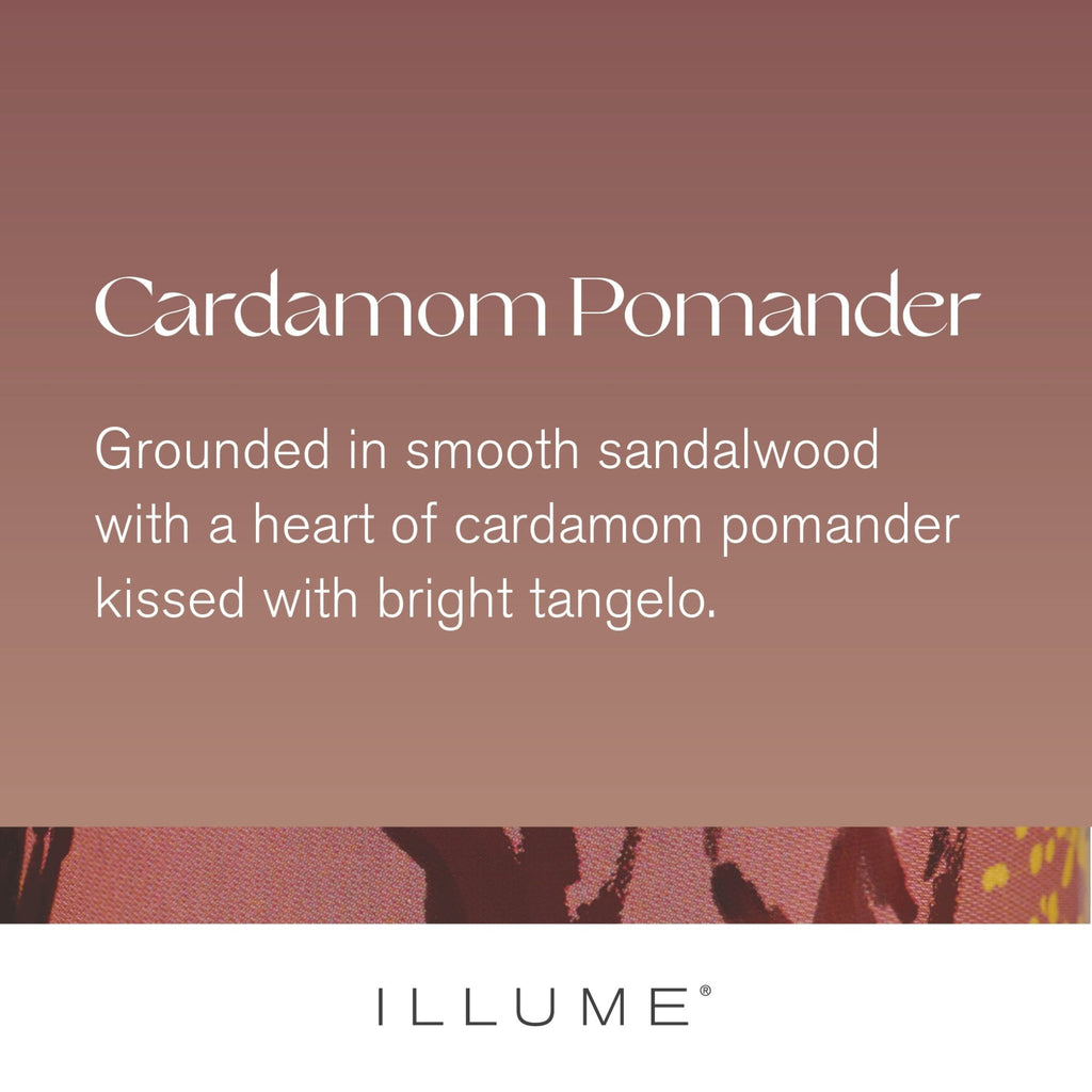 Cardamom Pomander Vanity Tin Candle - Illume Candles - 46263011000